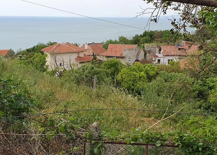 Стая за гости Ирина